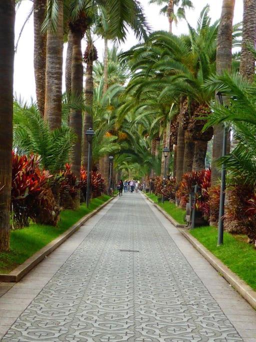First Line Beach Apartment Puerto de la Cruz  Luaran gambar